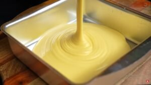 Besan Dhokla Recipe in Bangla